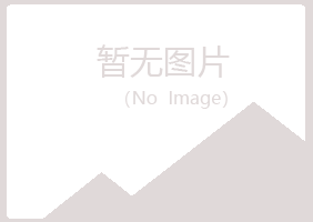 上海雅山化学有限公司